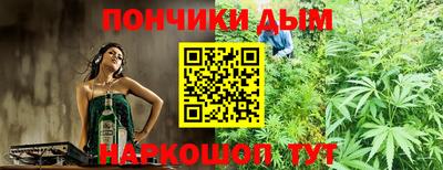 индика Аргун
