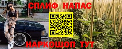 индика Аргун
