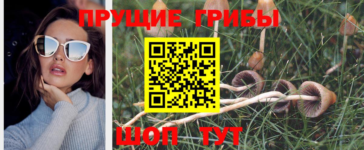 Псилоцибиновые грибы Cubensis  Вход с VPN  Балашиха 