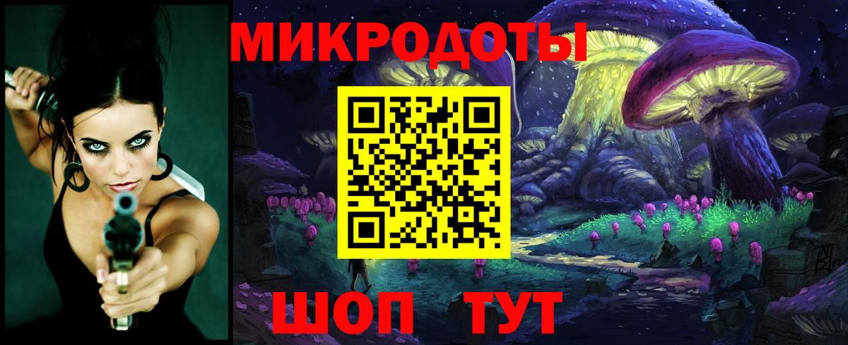 Псилоцибиновые грибы Psilocybe Балашиха